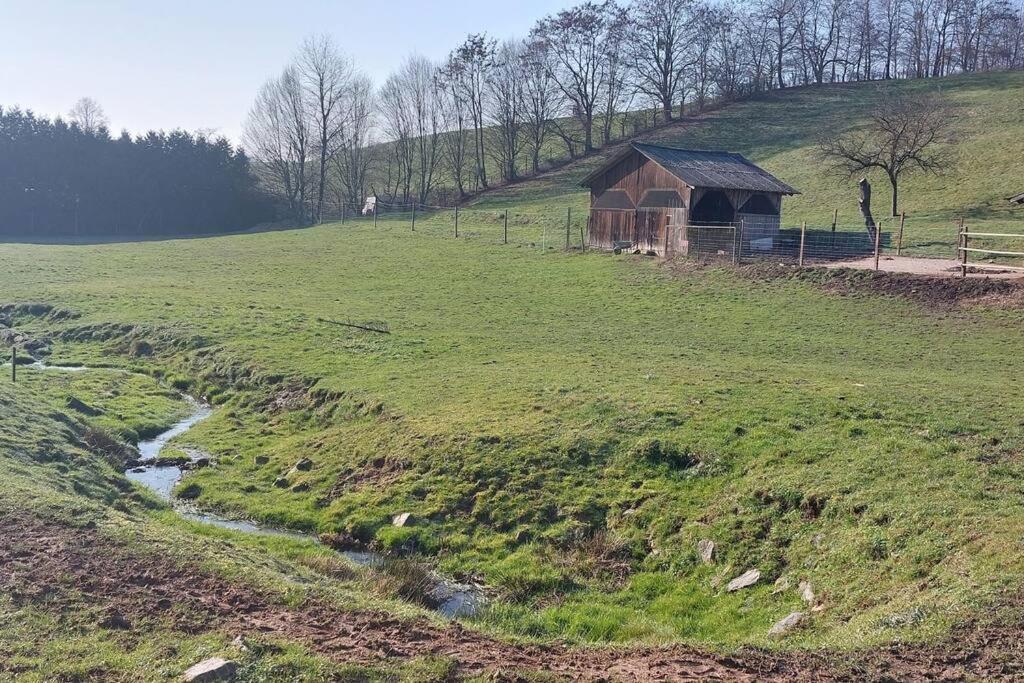 Mörlenbach Grosse Tolle 4 Zimmer Ferienwohnung Im Herzen Des Odenwaldes מראה חיצוני תמונה