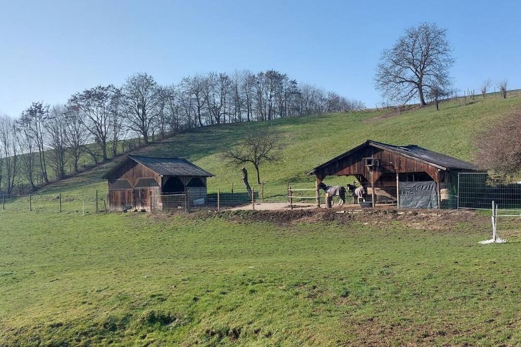 Mörlenbach Grosse Tolle 4 Zimmer Ferienwohnung Im Herzen Des Odenwaldes מראה חיצוני תמונה