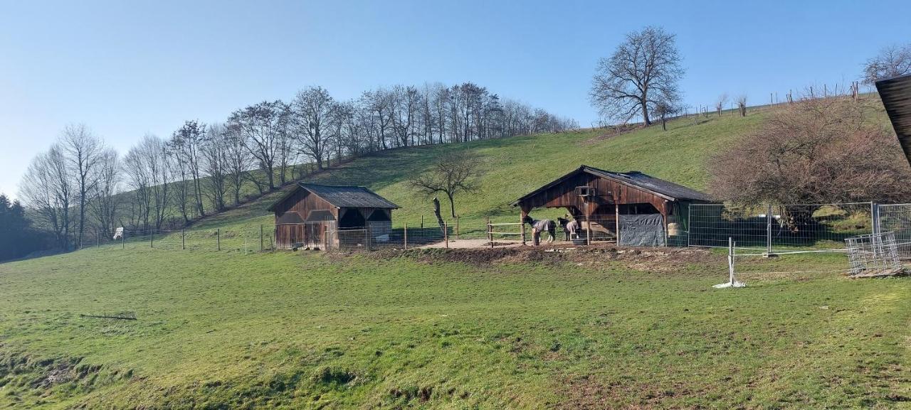Mörlenbach Grosse Tolle 4 Zimmer Ferienwohnung Im Herzen Des Odenwaldes מראה חיצוני תמונה